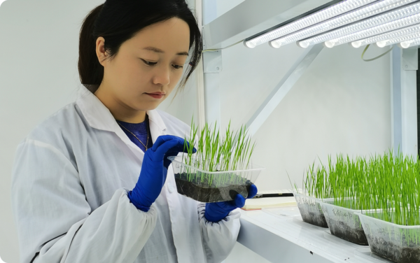 广州苗博士生物技术有限公司 - 广州苗博士生物技术有限公司